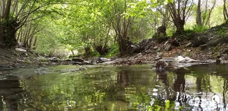 جنگل جیغ طرقبه مشهد