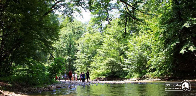 جنگل جیغ مشهد