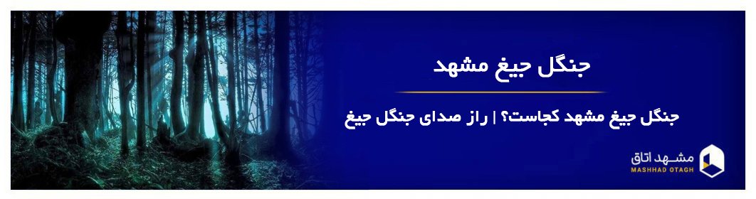 جنگل جیغ مشهد؛ ترسناکترین جنگل ایران + راز صدای جنگل جیغ جنگل جیغ مشهد؛ ترسناکترین جنگل ایران + راز صدای جنگل جیغ