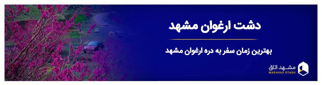 دره ارغوان مشهد؛ طبیعت‌گردی در بنفش‌ترین طبیعت خراسان