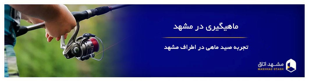ماهیگیری در مشهد - معرفی 10 مکان برای صید ماهی در اطراف مشهد
