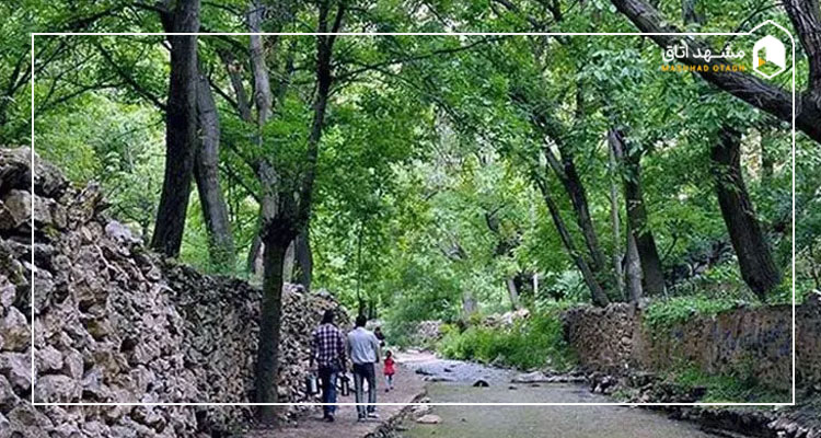 عکس ابرده مشهد