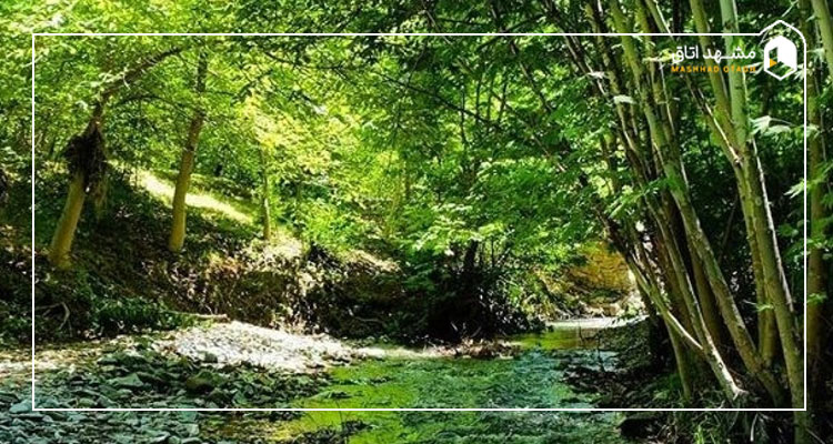 عکس ابرده مشهد