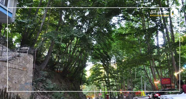 عکس ابرده مشهد