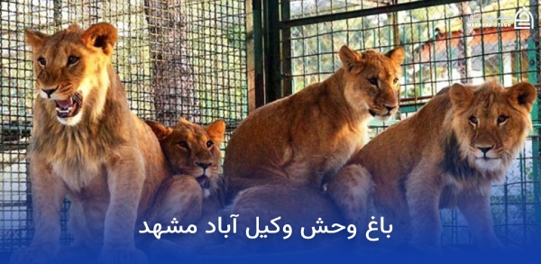 vakilabad-mashhad-zoo باغ وحش وکیل آباد مشهد