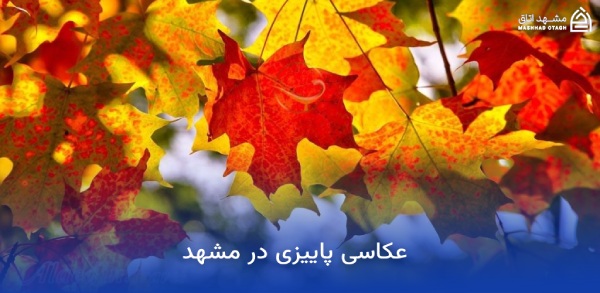 جاهای دیدنی مشهد در پاییز (پاییز مشهد کجا بریم؟) 20 عکاسی پاییزی در مشهد