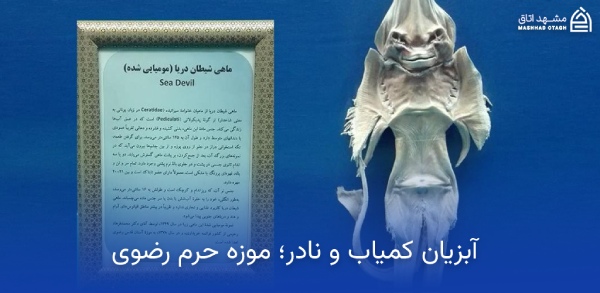 آبزیان کمیاب موزه حرم